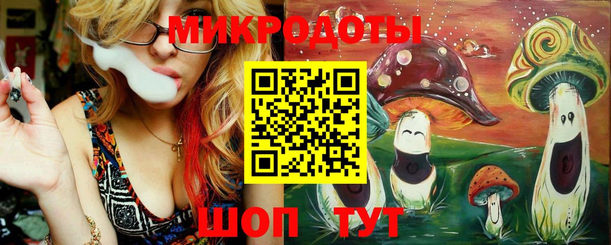 Самара  Псилоцибиновые грибы MAGIC MUSHROOMS  Галлюциногенные грибы Psilocybe  Вход с VPN 